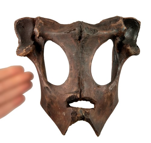 Antique Mask Cérémoniel Animist Tibetan Ritual Shaman Rare Tibet Nepal 26199 - Picture 2 of 9