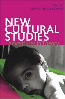 NEW CULTURAL STUDIES: ADVENTURES IN THEORY By Clare Birchall & Gary Hall *VG+*
