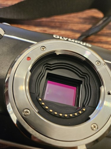 Olympus PEN E-PL1 Digital Camera 12.3MP/olympus M.zuiko Lens(READ DESCRIPTION) - Picture 10 of 19