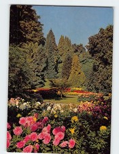 Postcard Dahlien und Koniferen Insel Mainau Konstanz Germany