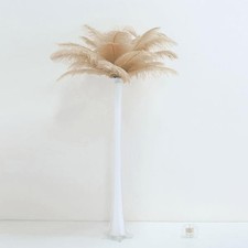 12 pcs 13-15" long Beige Genuine Ostrich FEATHERS Wedding Party Centerpieces