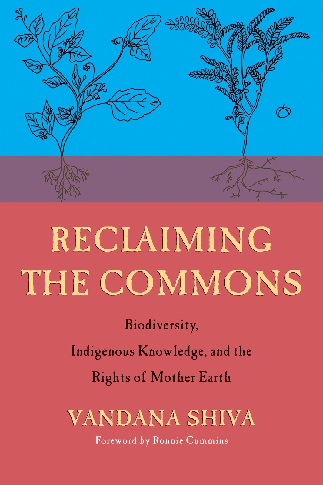 Thumbnail - Vandana Shiva | Reclaiming The Commons | Taschenbuch | Englisch (2020)