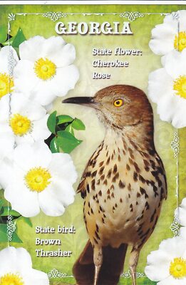 GEORGIA, STATES4GEO  State Bird: Brown Thrasher, State .. from HibiscusExpress