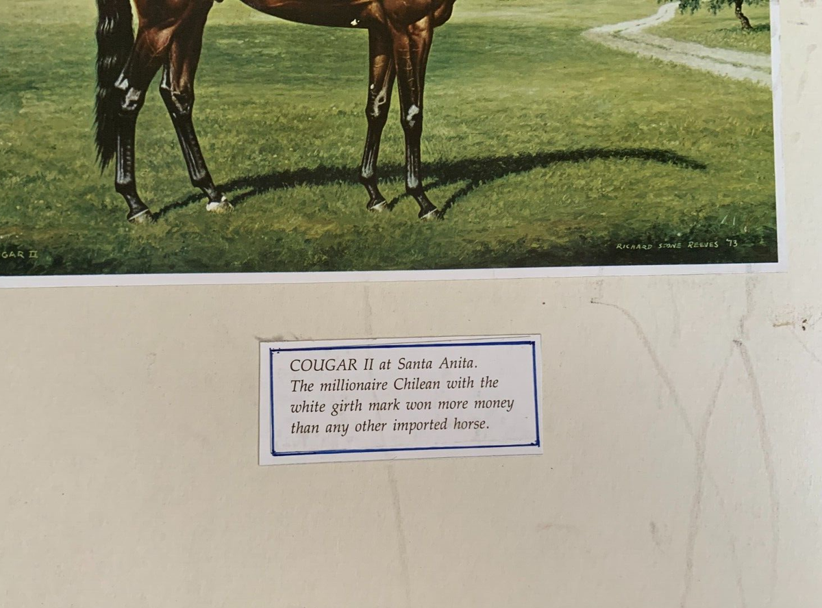 Matted Print Art Race Horse Cougar II at Santa Anita Richard Stone