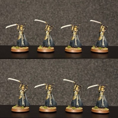 Lord of the Rings Warriors Of The Last Alliance Elves X8 Painted To Order