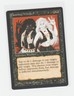 Magic the Gathering ~ MTG ~ 1x Cuombajj Witches ~ MP ~ Arabian Nights