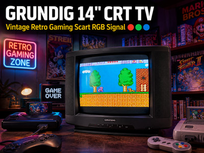 GRUNDIG 14 INCH CRT TV  RaRe  Retro Gaming Scart RGB