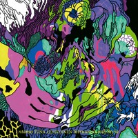 Tiina Lehikoinen | Sitruunalumilyhtyjä | Taschenbuch | Finnisch (2017) | ntamo