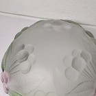 Bild 6 von 6