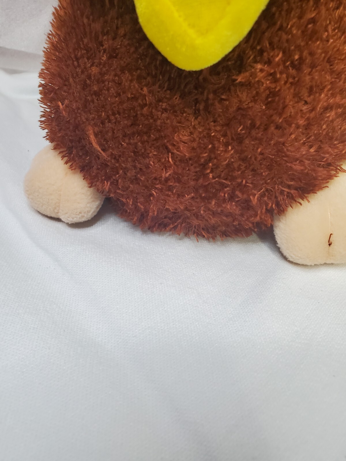 Picture 12 of 14