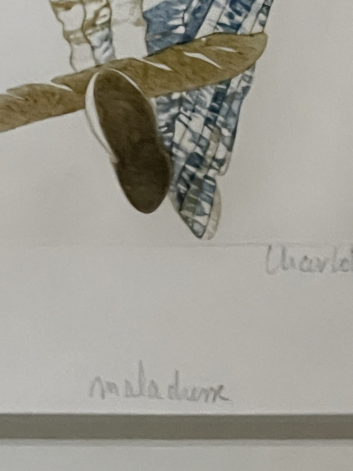 Picture 5 of 6