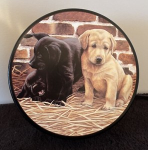 8” Round Tin Can Labrador Puppy Dogs 1999 Nigel Hemming Metal Storage Container