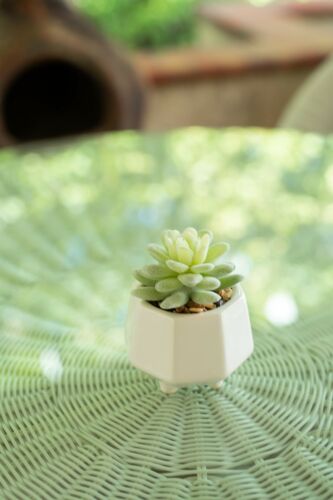 Flora Bunda Artificial Plant in Six-Face Hexagon Ceramic Pot Mini Legs,Set of 2 - Bild 7 von 7