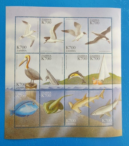 ZAMBIA 1999 BIRDS FISH SEA 12v - DOLPHIN GULL PELICAN SHARK - bird stamps MNH