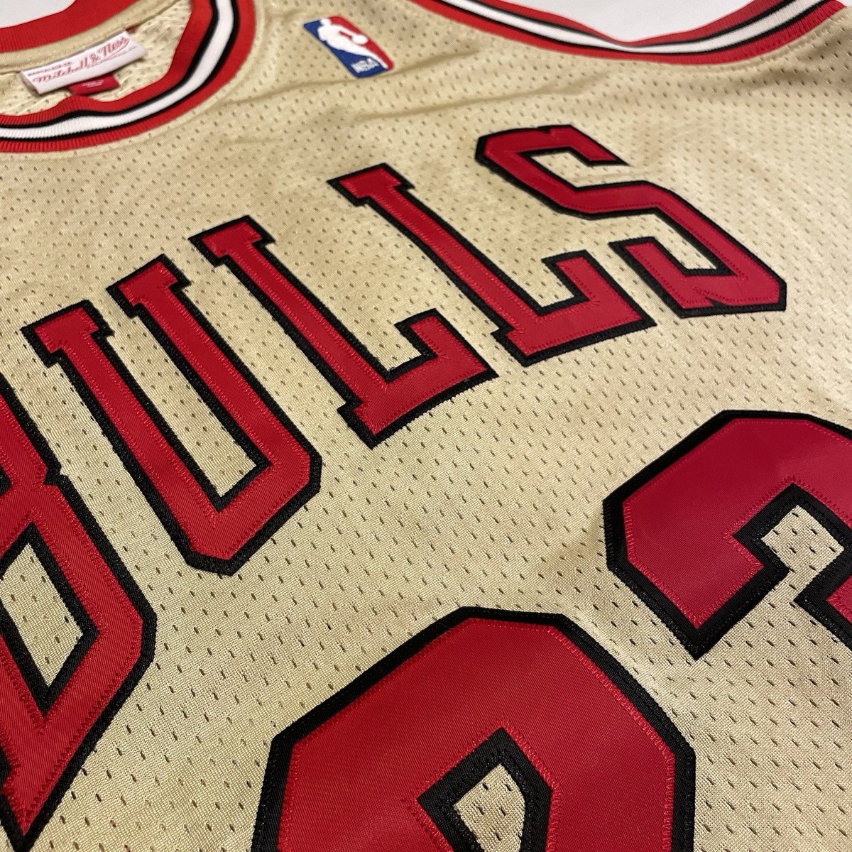 Mitchell & Ness Authentic Michael Jordan Chicago Bulls 1995-96