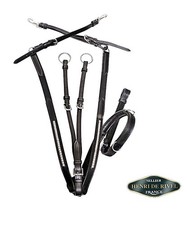 Silver Clincher Y shaped elastic breastplate with martingal