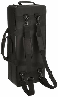 J Michael AL-500 Eb Alto Sax Saxophone Clear Lacquer w/ Case EMS