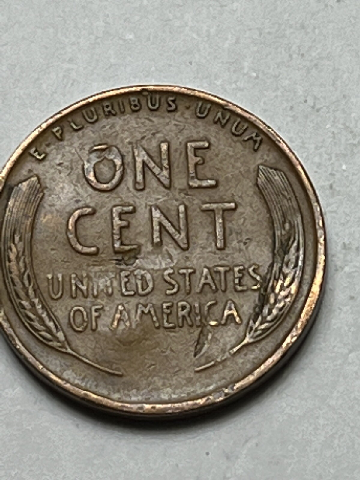 Picture 3 of 12