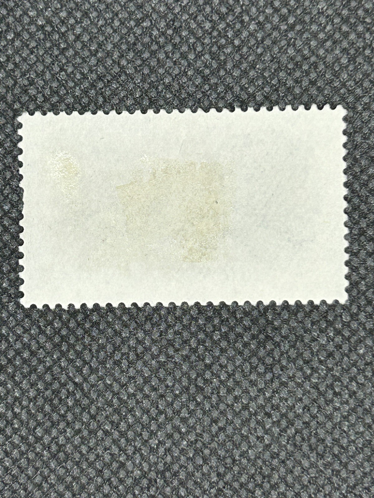 Picture 10 of 12