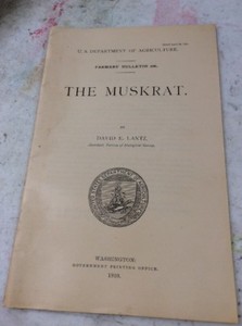 US DEPARTMENT OF AGRICULTURE FARMERS BULLETIN The Muskrat April 1910
