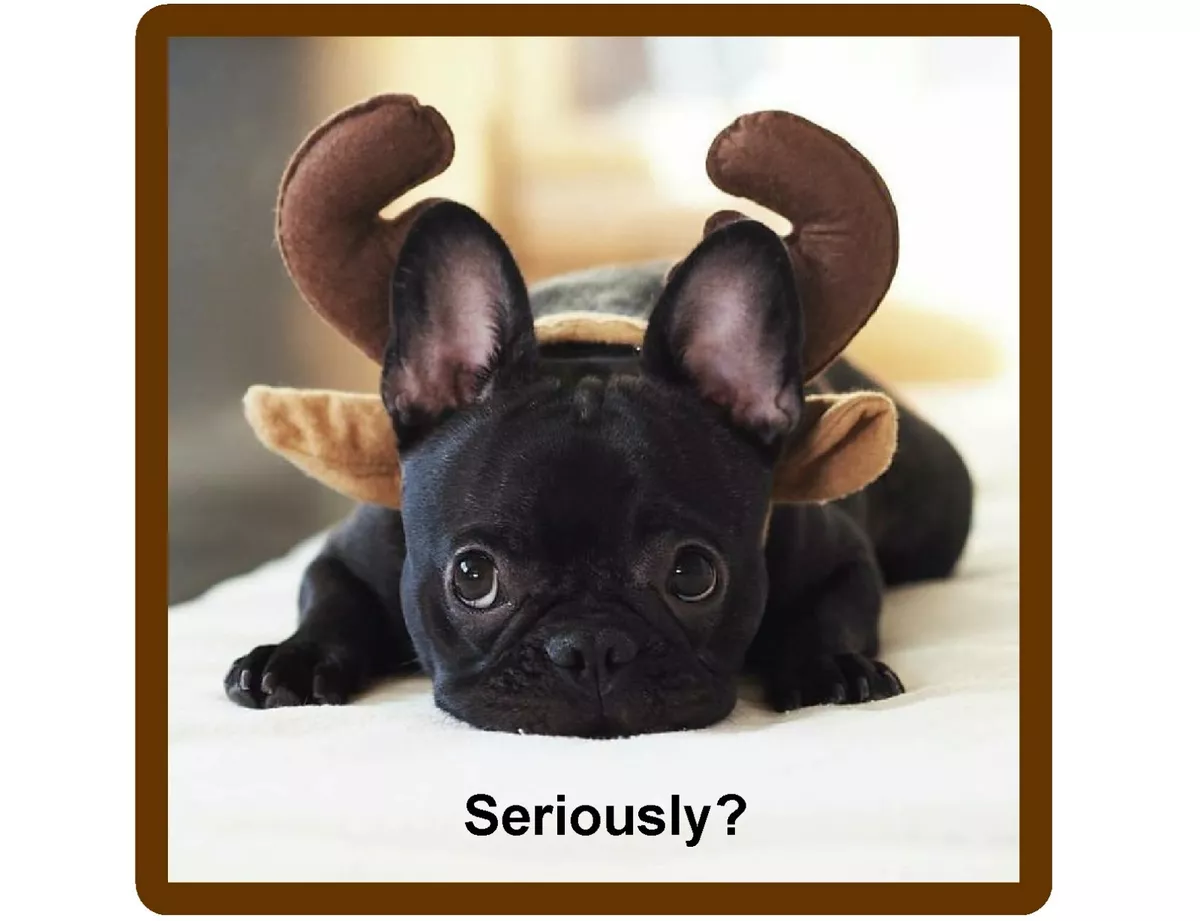 French bulldog gifts outlet ebay