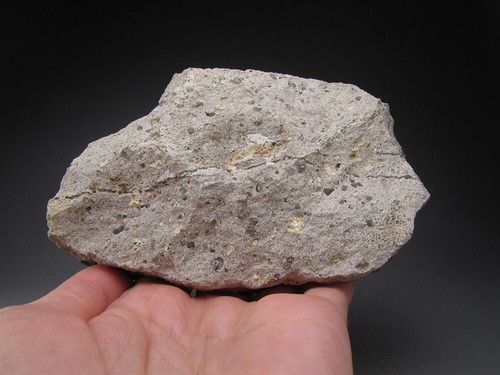 Magnetitkristalle auf Matrix Cerro Huanaquino Potosí Bolivien - Bild 5 von 7