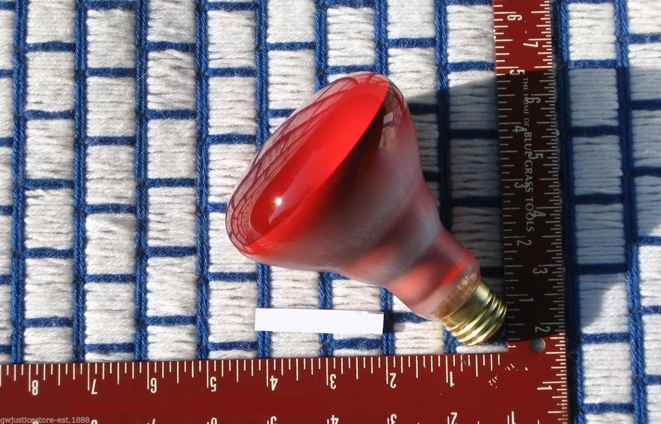 NEW 65w regular base BR30 RED R30 FLOOD LIGHT BULB 65 watt 65BR30 long life 130V - Image 2 of 3