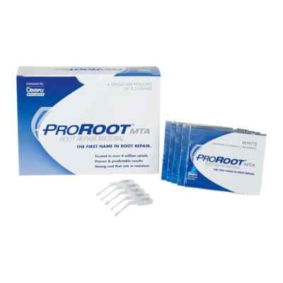 Dentsply Proroot MTA 0.5 Gm Root repair material with antimicrobial properties