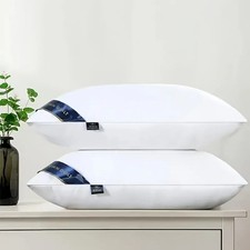 Bed Pillows - Blue