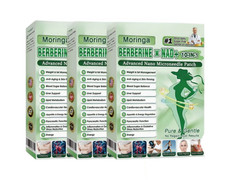 1-5Boxes Moringa Berberine NAD+ Weight Loss Patches Advanced Nano Microneedle