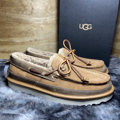 men's dex uggs