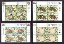 M25894 Namibia 1998 SG795/8 Shells in PLATE (1A) and IMPRINT blocks of 4. UMM