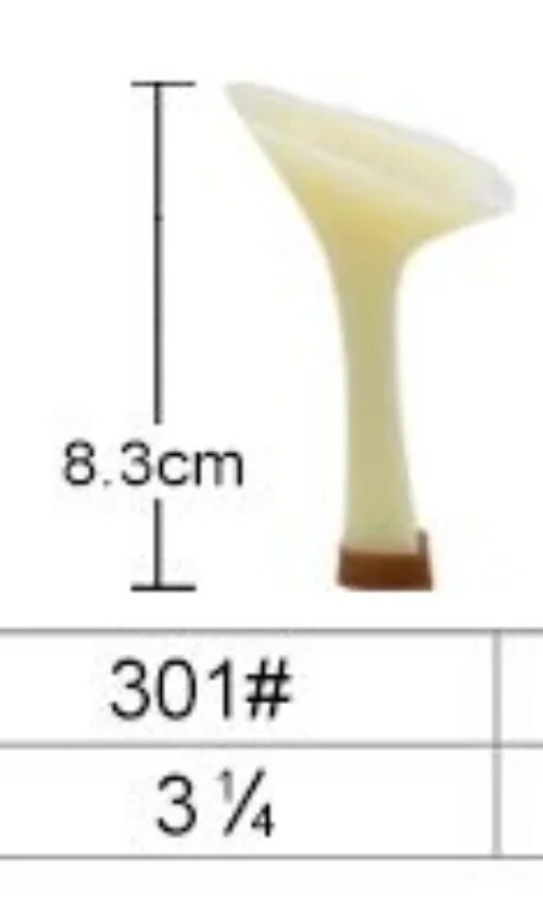 Bild 15 von 24
