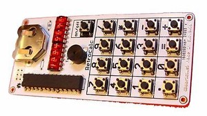 Handmade retro vintage taking calculator with LED QDSP6064 bubble display