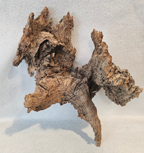 Driftwood Natural Sculpture Piece Woodworking Decorative Cottagecore Beach Decor
