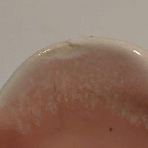 Picture 7 of 7