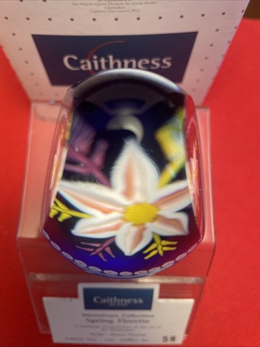 Caithness Glass Whitefriars Spring Florette Paperweight 1998 W/Box 58/150 Cobalt - Picture 7 of 21