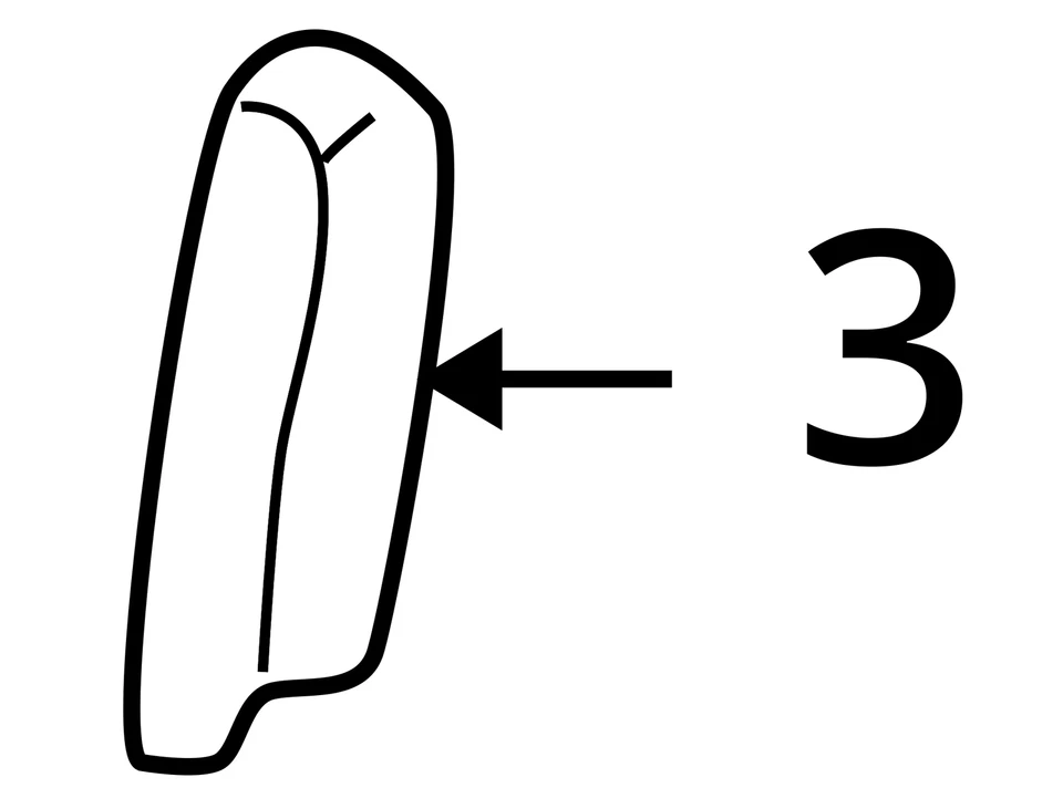 Air Bag Passenger Seat Excluding SVT Fits 00-04 FOCUS 828210 Foto 3 de 4