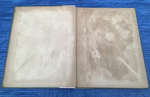Van Dyke, by Lionel Cust Part 1 The Artist’s Library 1903 - Picture 4 of 9