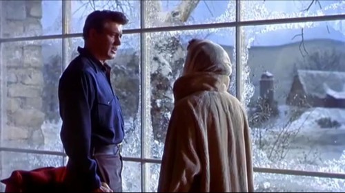 All That Heaven Allows (1955) Rock Hudson NEW DVD/ SAMEDAY FREE SHIP USA - Imagen 4 de 9