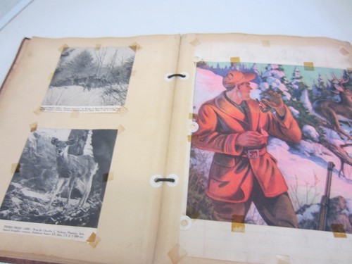 Vintage 1948 Scrapbook Hunting License Wildlife Outdoorsmen Deer 1940's - Picture 5 of 12