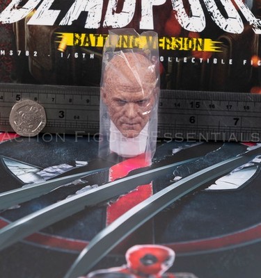 Hot Toys Deadpool Head Sculpt Unmasked Battling MMS782 1/6 Parts Custom