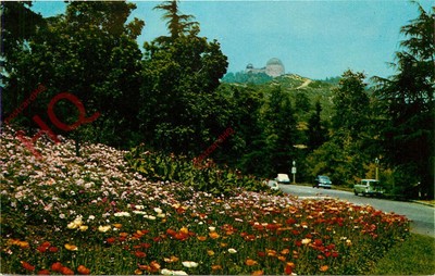 Ansichtskarte - Los Angeles, Fern Dell Drive, Eingang zum Griffith Park