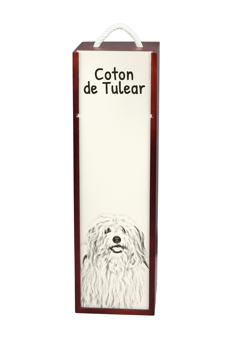 Tulear Breeders Coton De Latour Puppies Dog Breed Coton De Tulear