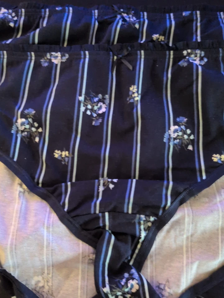 Lane Bryant Cacique 18/20 HIPSTER Set 2 Rayas Floral Azul Bragas NUEVO CON ETIQUETA Foto 4 de 4