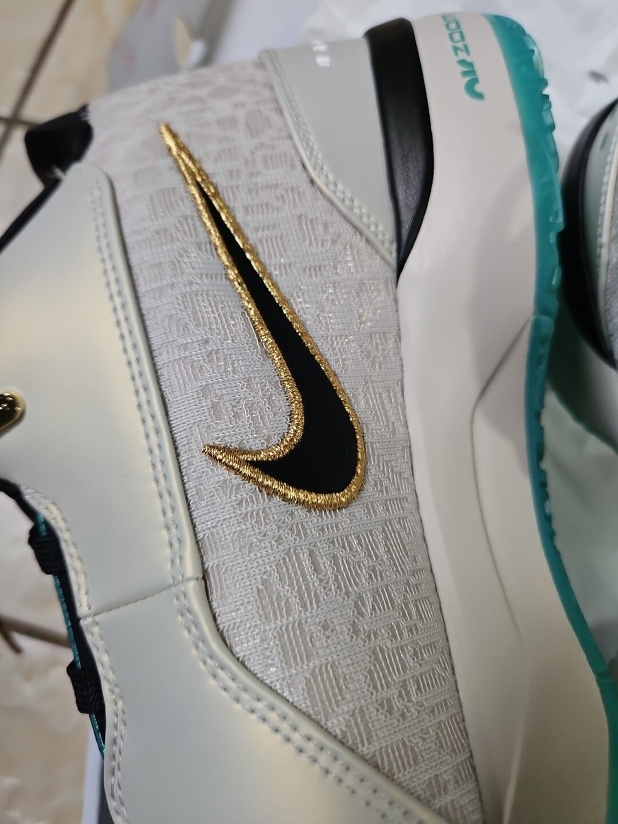 ZM LEBRON NXXT GEN AMPD | eBay