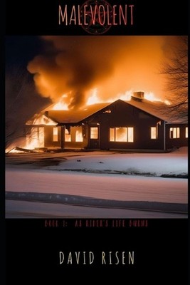 Malevolent: Book 1: As Rider's Life Burns by David Risen Paperback Book
