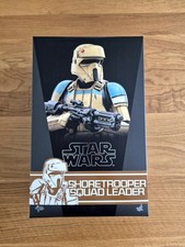 Star Wars Hot Toys Shoretrooper Squad Leader MMS592 Rogue One Pre Owned