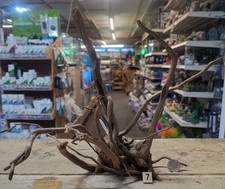 Legno radice di brughiera scura pezzi singoli acquario scapo vasca pesci legno dito palude