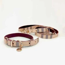 Pet Collar And Leash Set Leather Fashion Adjustable Collars For Dogs Gift New US